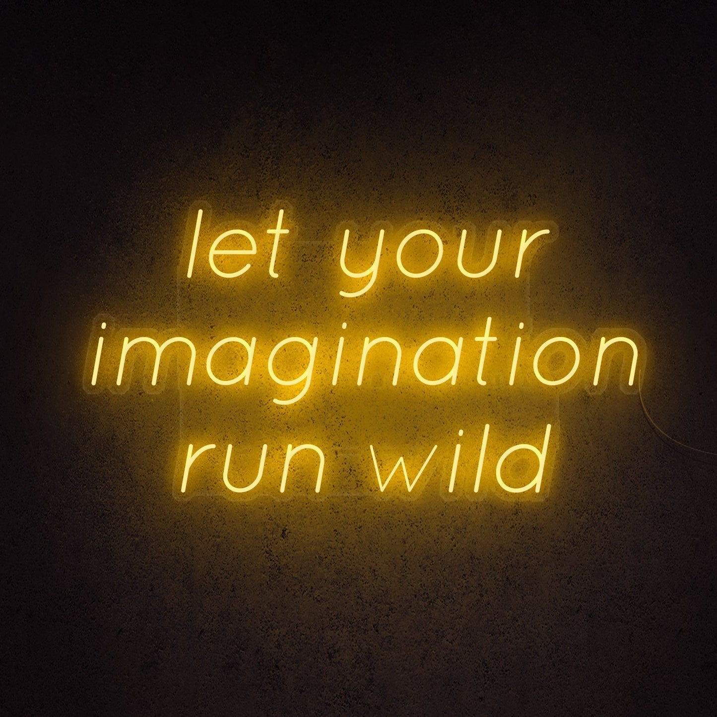 Let Your Imagination Run Wild Neon Sign